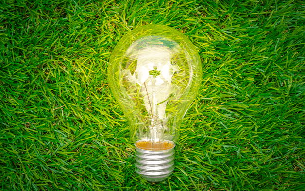 lightbulb on grass